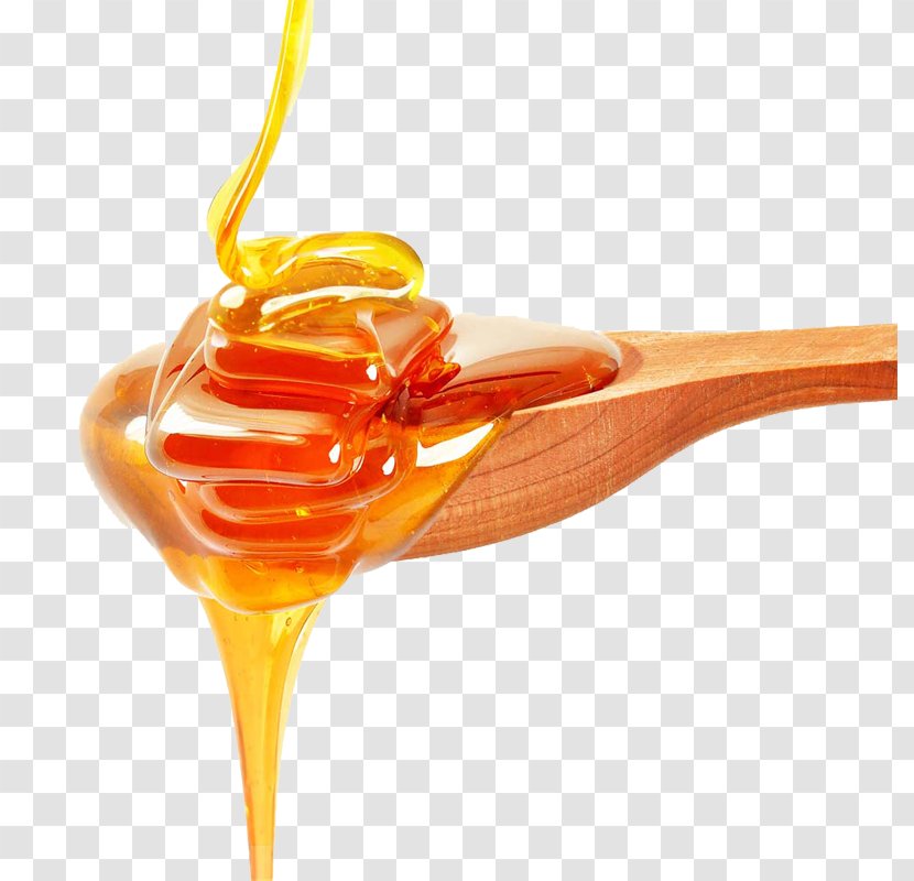 Stock Photography Honeycomb Food - Depositphotos - Honey Transparent PNG