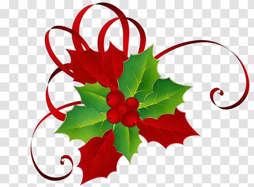 Christmas Poinsettia - Day - Plant Transparent PNG
