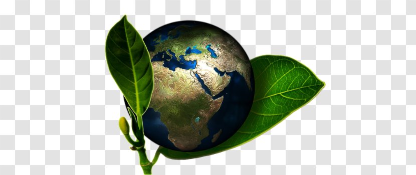 Corporate Social Responsibility Environmentally Friendly Accidental Cure: Extraordinary Medicine For Patients Sustainability - Recycling - Cooperation Transparent PNG