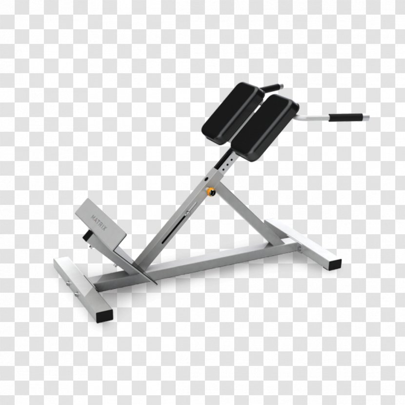 Hyperextension Bench Roman Chair Exercise Equipment Weight Training - Physical Fitness Transparent PNG