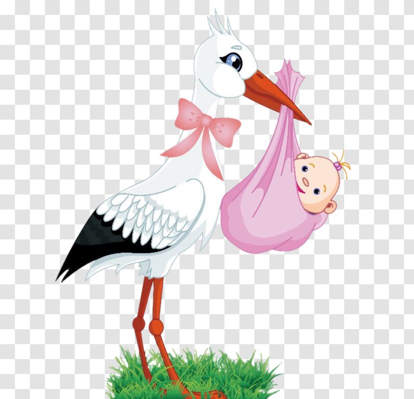 White Stork Infant Clip Art Child - Seabird Transparent PNG