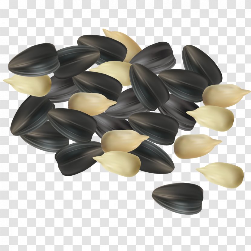 Common Sunflower Seed Illustration - Food - Delicious Seeds Transparent PNG