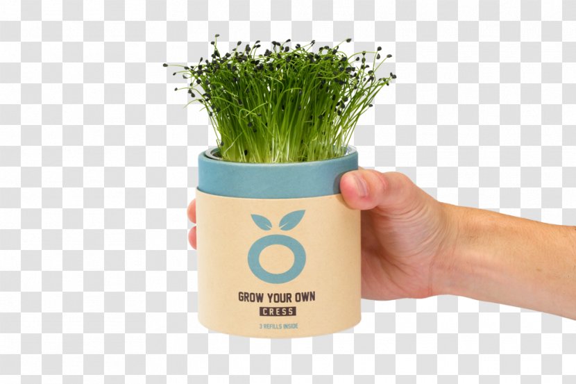 Buzzy Kweekset Spruitgroente Sprouting Beer Flowerpot Product - Business Development - Hands Cupped Transparent PNG