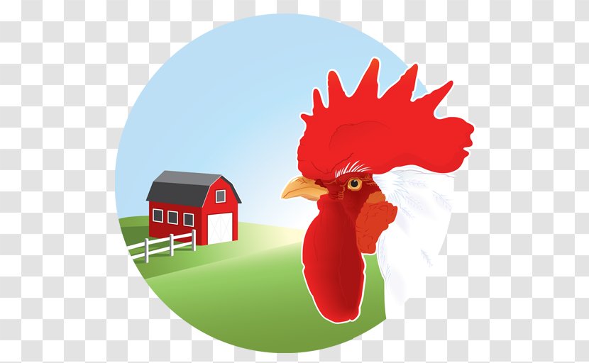 Chicken Vector Graphics Clip Art Illustration Image - Poultry Transparent PNG
