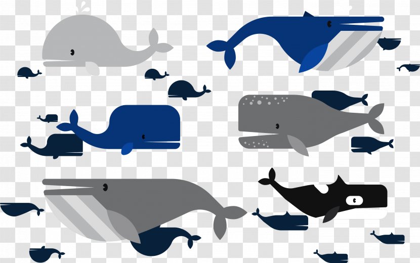 Moby-Dick Marine Mammal Beluga Whale - Vector Transparent PNG