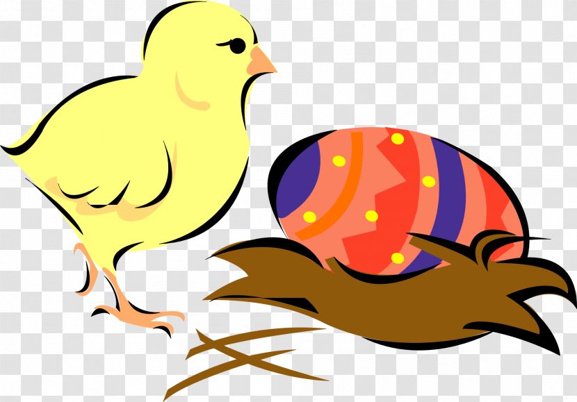 Easter Bunny Chicken Clip Art - Galliformes - Chick Transparent PNG