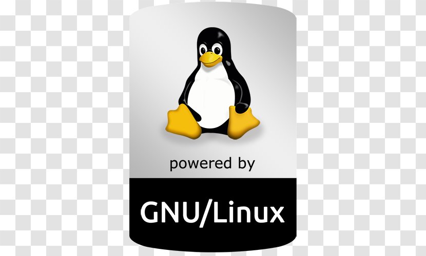 Linux User Group Foundation Slackware Distribution - Linus Torvalds Transparent PNG