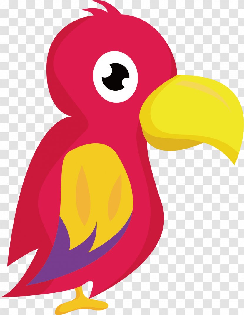 Parrot Beak Bird Illustration - Cartoon Vector Transparent PNG