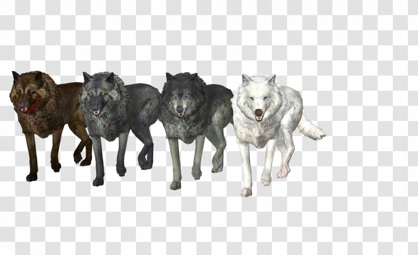 Dog Drawing Pack Moose - Like Mammal - Wolf Transparent PNG
