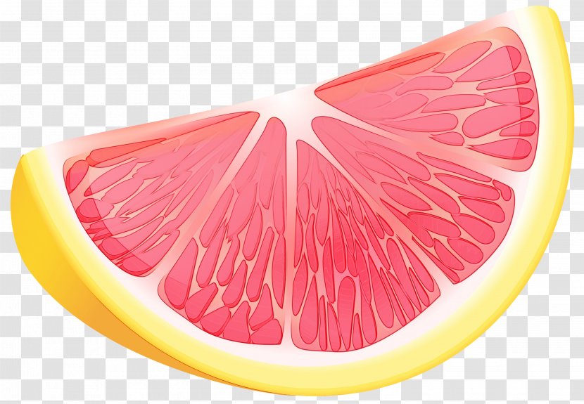 Citrus Pink Grapefruit Fruit Food - Citric Acid Lemon Transparent PNG