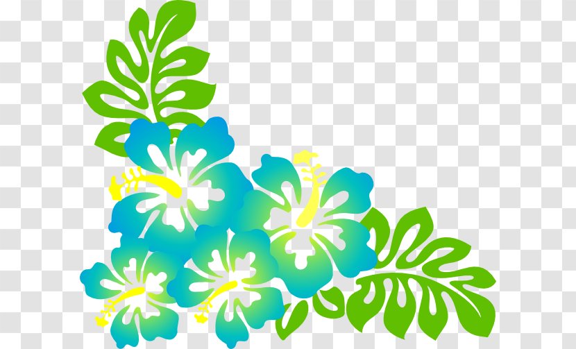 Hawaii Rosemallows Drawing Desktop Wallpaper Clip Art - Branch - Flower Transparent PNG