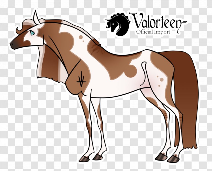Pony Mustang Colt Foal Stallion - Horse Supplies Transparent PNG