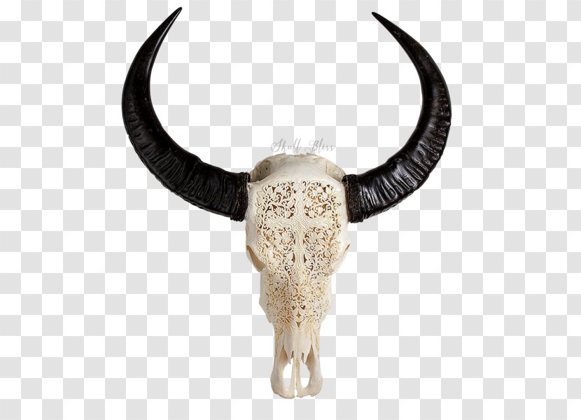 Cattle Décoration Furniture Skull Decorative Arts - Like Mammal - Buffalo Transparent PNG