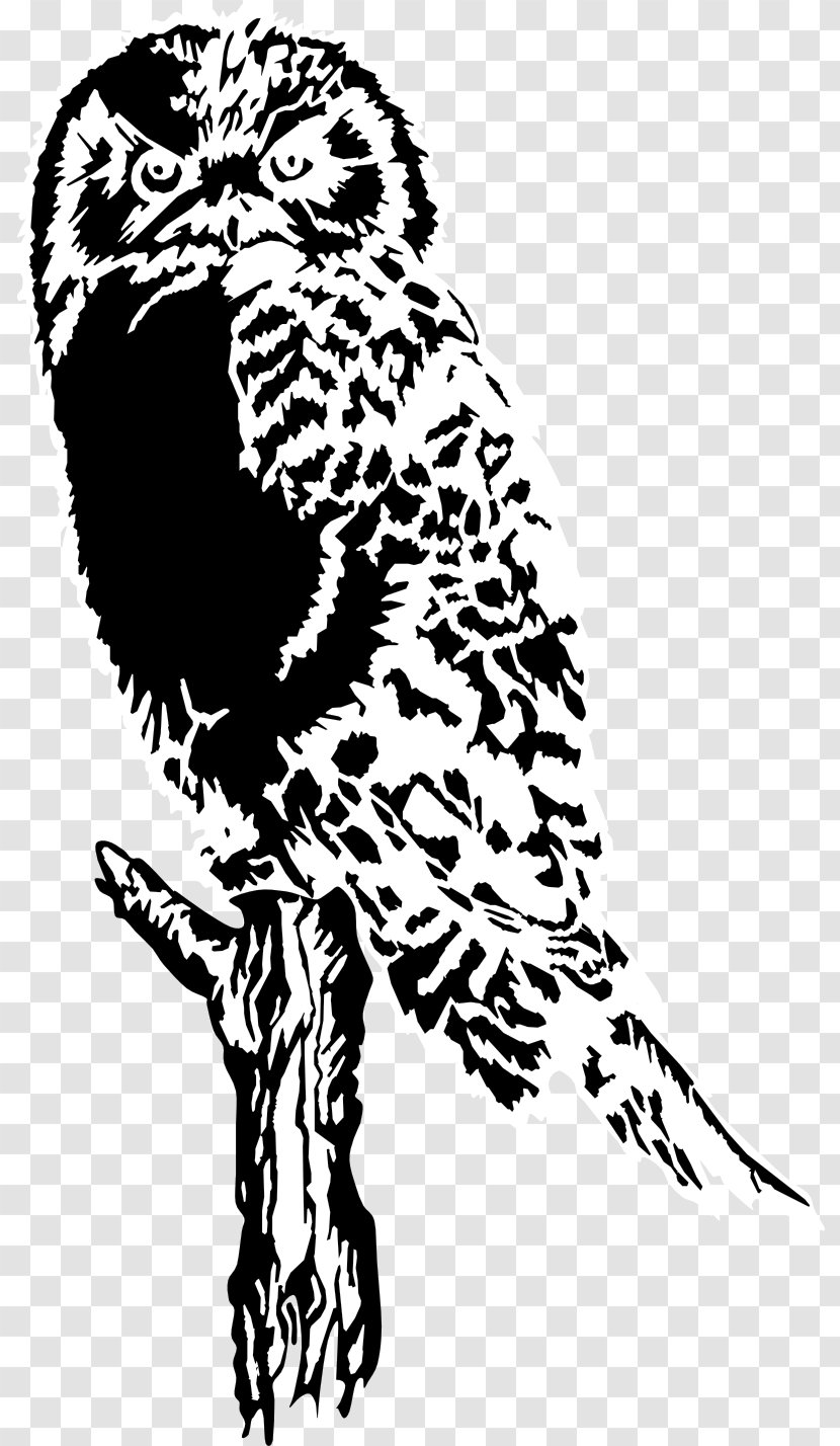 Drawing Clip Art - Owls Transparent PNG