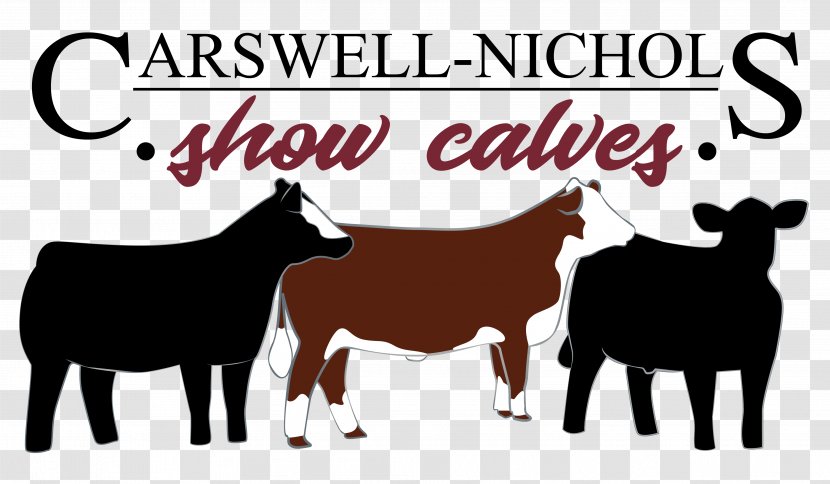 Dairy Cattle Hereford Sheep Horse Livestock Show - Pack Animal Transparent PNG
