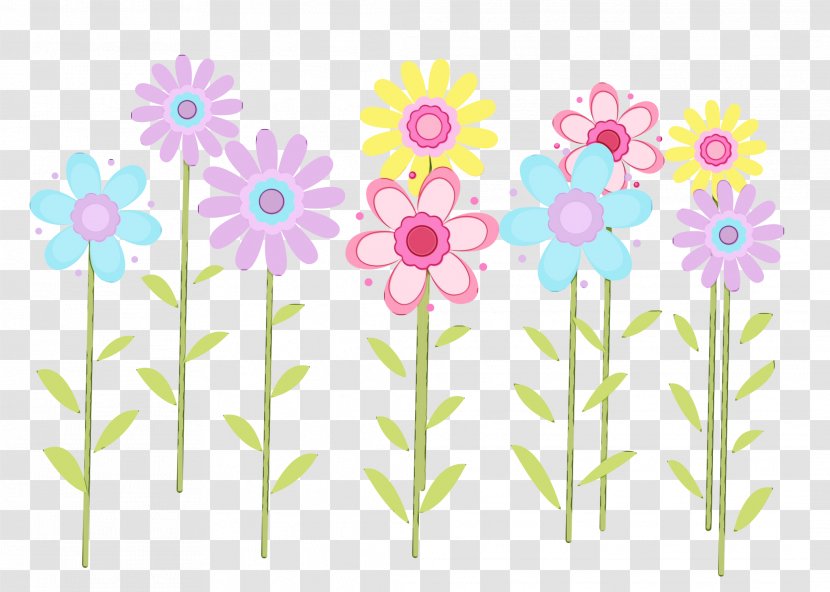 Watercolor Pink Flowers - Plant - Daisy Pedicel Transparent PNG