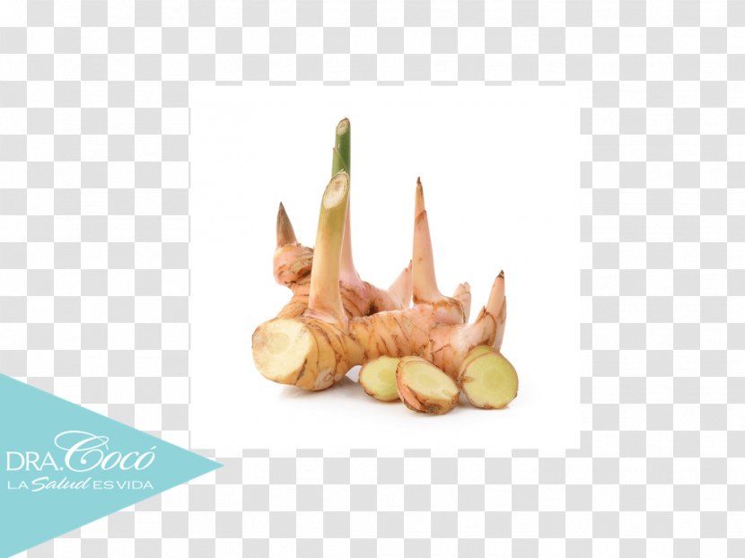 Galangal Ginger Root Vegetable Profit Transparent PNG