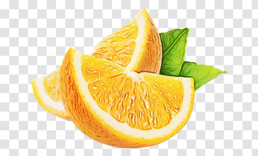 Lemon Background - Web Design - Valencia Orange Vegetarian Food Transparent PNG