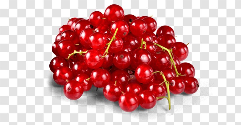 Lingonberry Zante Currant Berries Fruit Boysenberry Transparent PNG