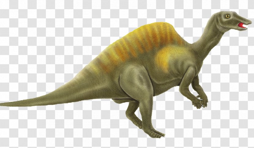 Tyrannosaurus Dinosaur Pictures Triceratops - Google Images Transparent PNG