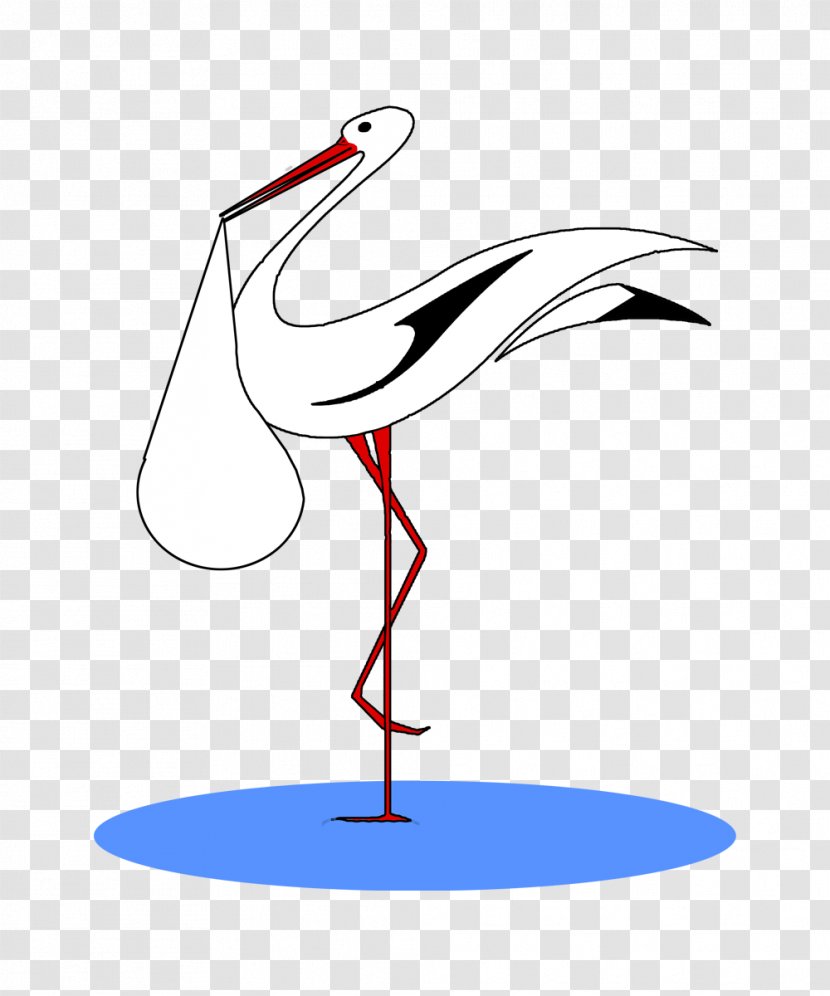 Beak Clip Art Water Bird Line - Stork Transparent PNG