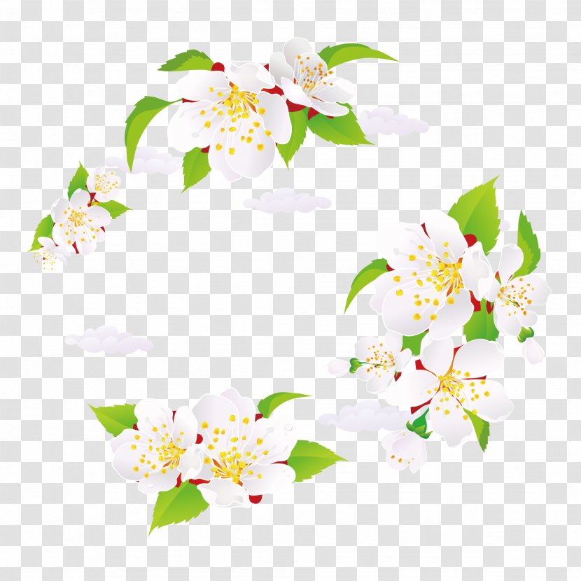Insect Caterpillar Cartoon Illustration - Floristry - Vector Japanese Cherry Blossoms Transparent PNG