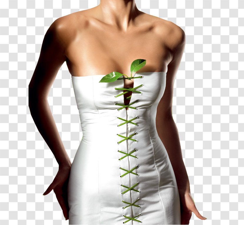 Weight Loss Health Drumstick Tree Forever Living Products Exercise - Cocktail Dress Transparent PNG