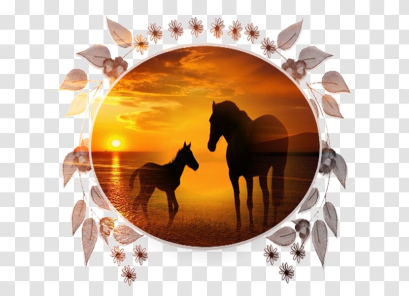 Animaatio Mustang Desktop Wallpaper - Tree Transparent PNG