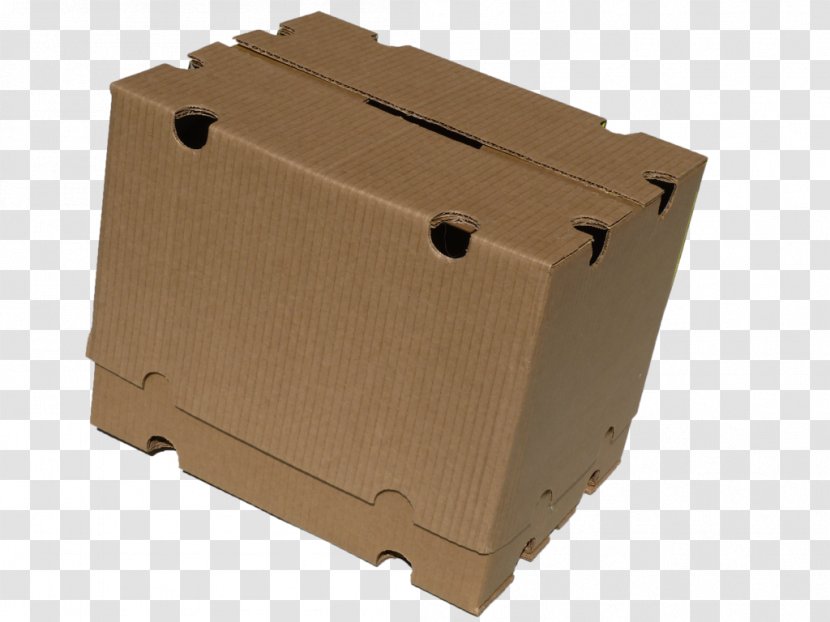 Carton Box Packaging And Labeling Manufacturing - Fruit Transparent PNG