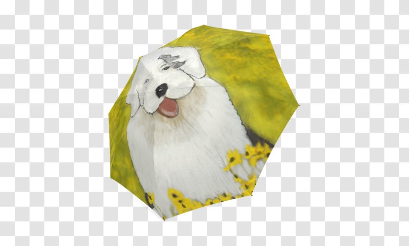 Dog Snout Transparent PNG