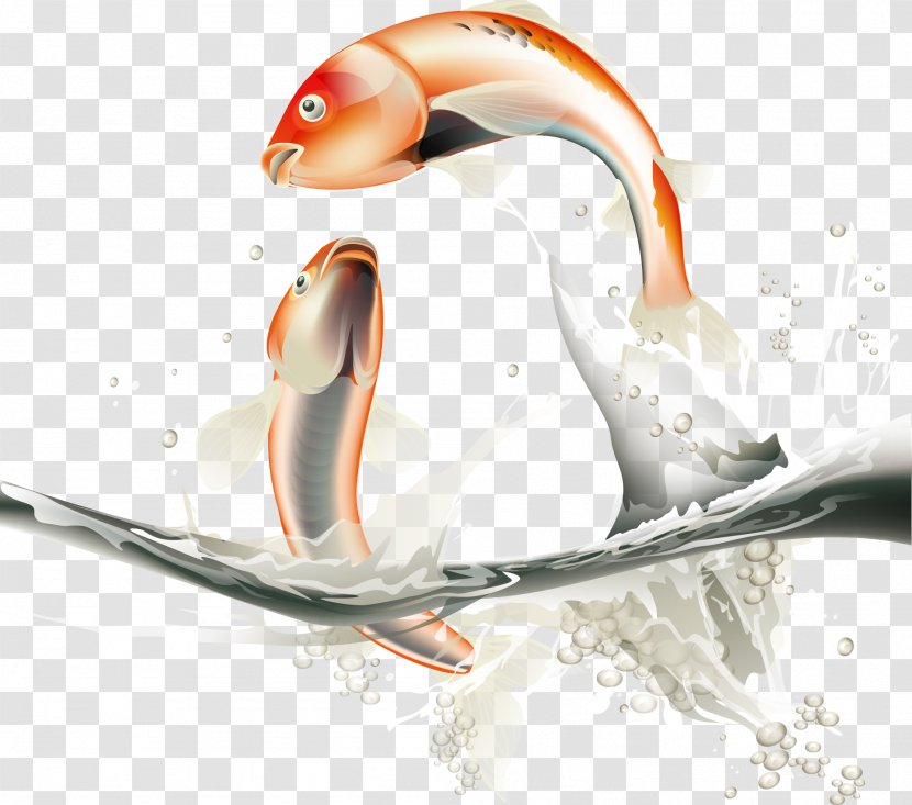 Adobe Illustrator - Beak - Vector Cartoon Fish Leaping Transparent PNG