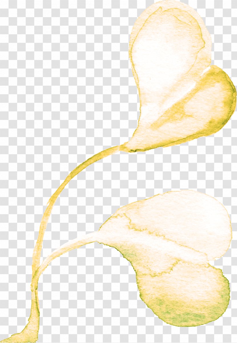 Adobe Illustrator - Flower - Painted Plants Transparent PNG
