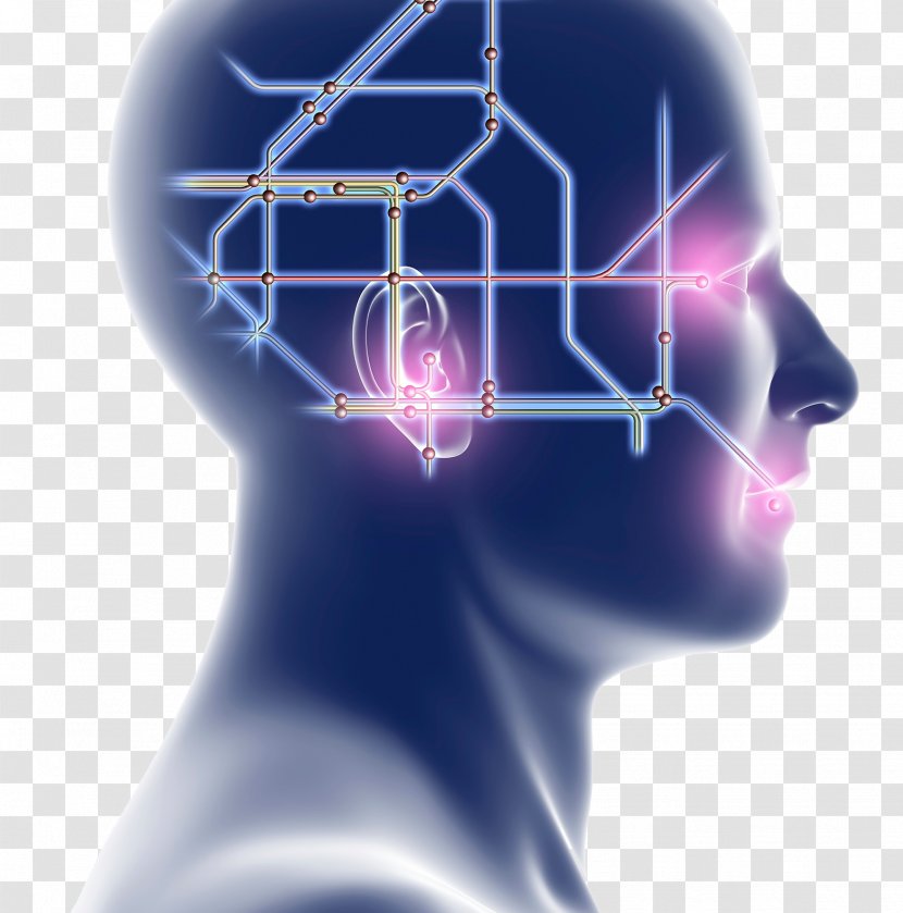 Artificial Intelligence Integrated Circuit - Silhouette - Brain Transparent PNG