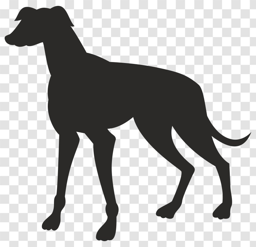 Greyhound Lines Vector Graphics Royalty-free Image - American Staghound - Illustration Transparent PNG