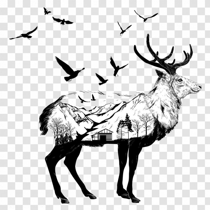 Drawing Wildlife Art Illustration - Creative Goat Landscape Integration Transparent PNG