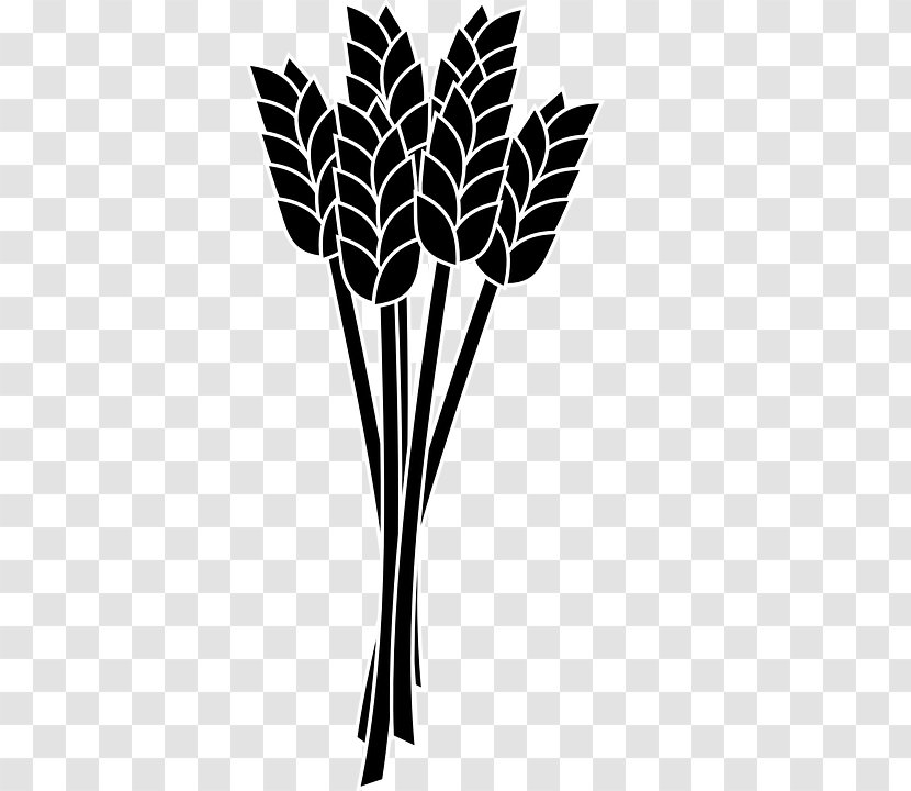 Wheat Ear Clip Art - Branch Transparent PNG