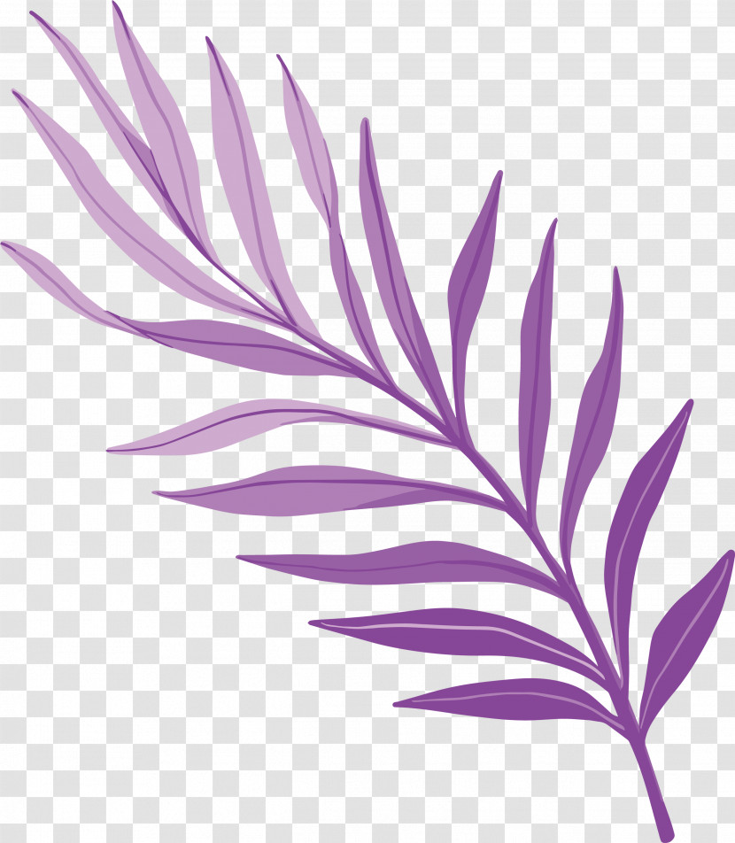 Plant Stem Petal Leaf Purple Line Transparent PNG