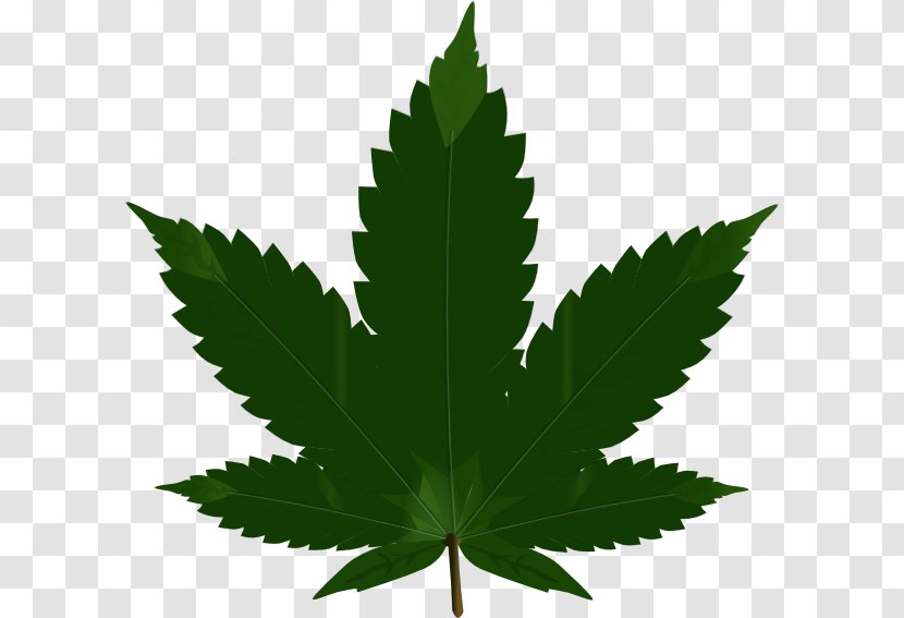 Hash, Marihuana & Hemp Museum Cannabis Blunt Clip Art - Smoking - Leaf Svg Transparent PNG