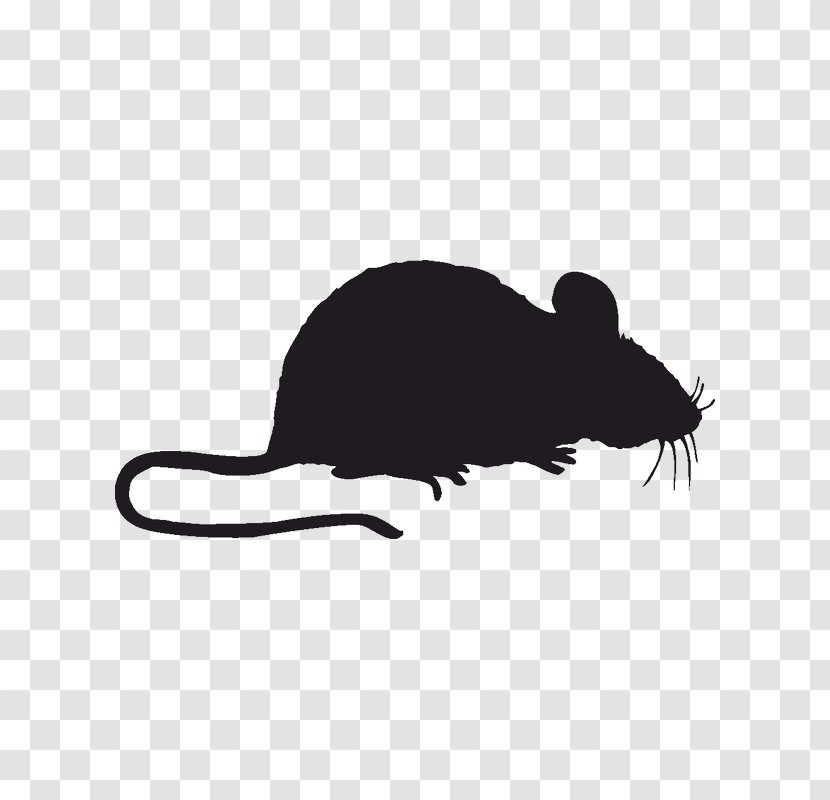 Pest Control Window Mouse Sticker - Mammal Transparent PNG