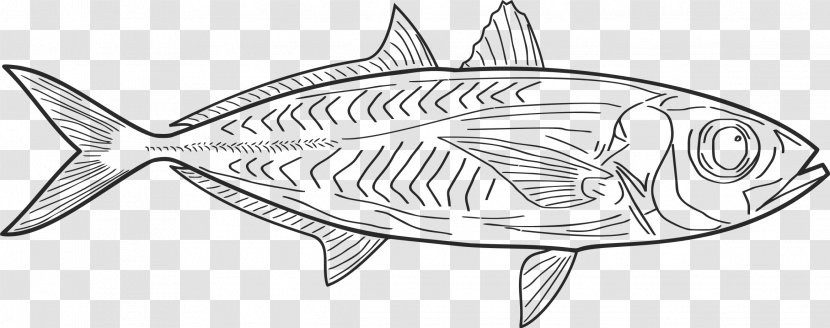 Fish Line Art Drawing Sketch Transparent PNG