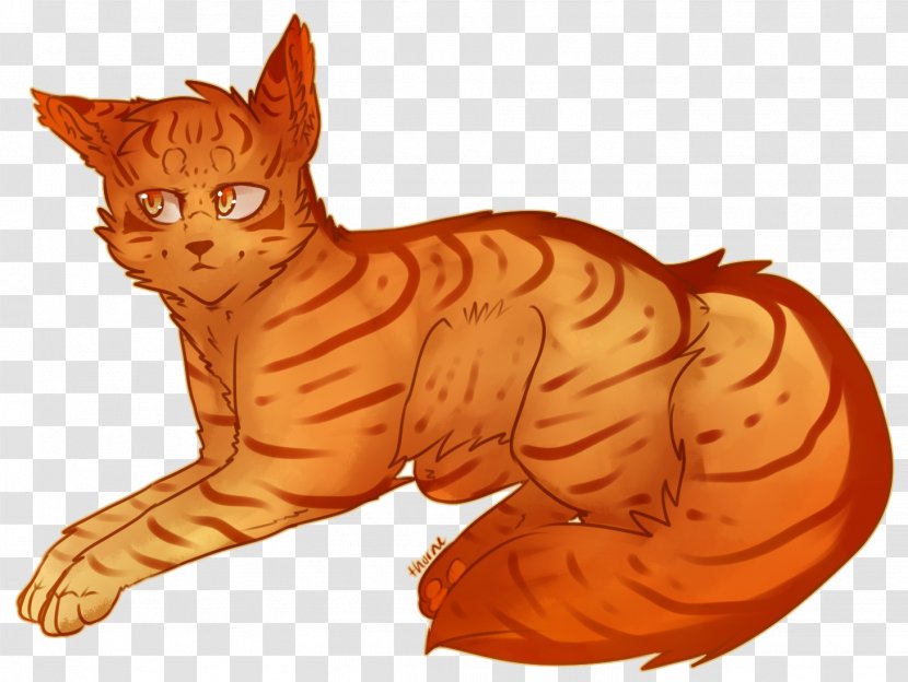 Whiskers Cat Tiger Mothwing Warriors - Dog Like Mammal Transparent PNG