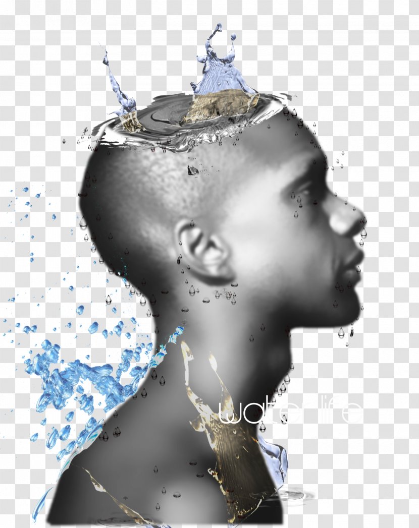 Body Of Water Human Homo Sapiens - Head - Creative Background Poster Transparent PNG