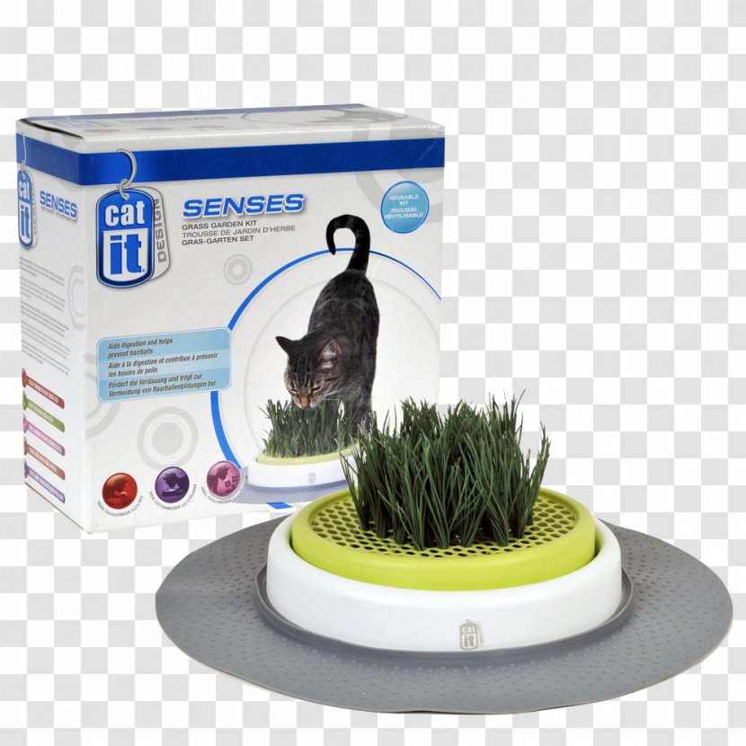 Cat Lawn Garden Nekojam Singapore Online Pet Store Grass Transparent PNG