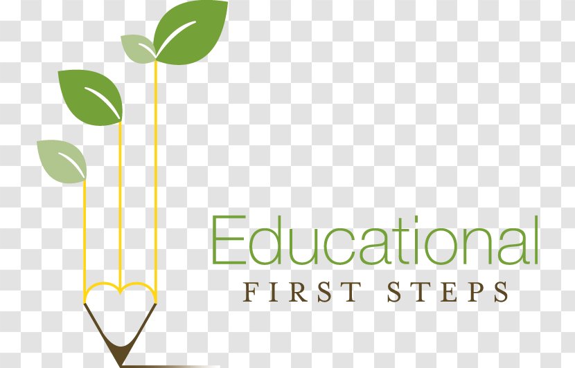 Educational First Steps National Secondary School Learning - Ef Education Transparent PNG