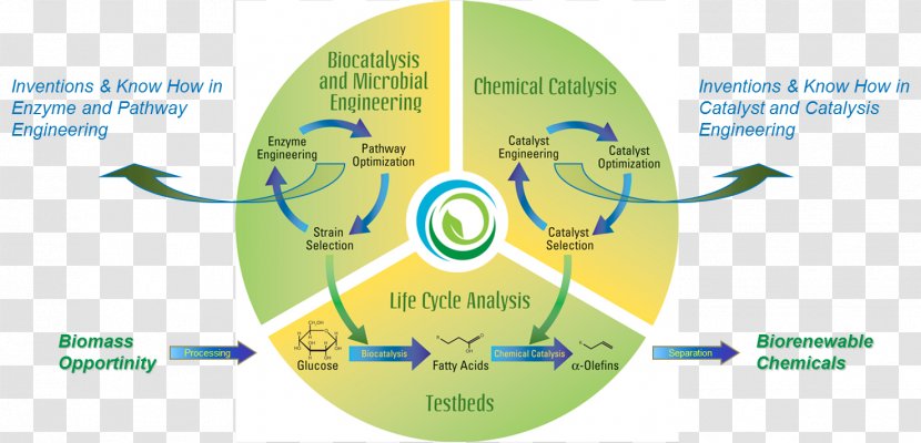 Bioproducts Biogeochemical Cycle Chemical Substance Catalysis Biological Life - Engineering - Cecos University Of Information Technology And Eme Transparent PNG