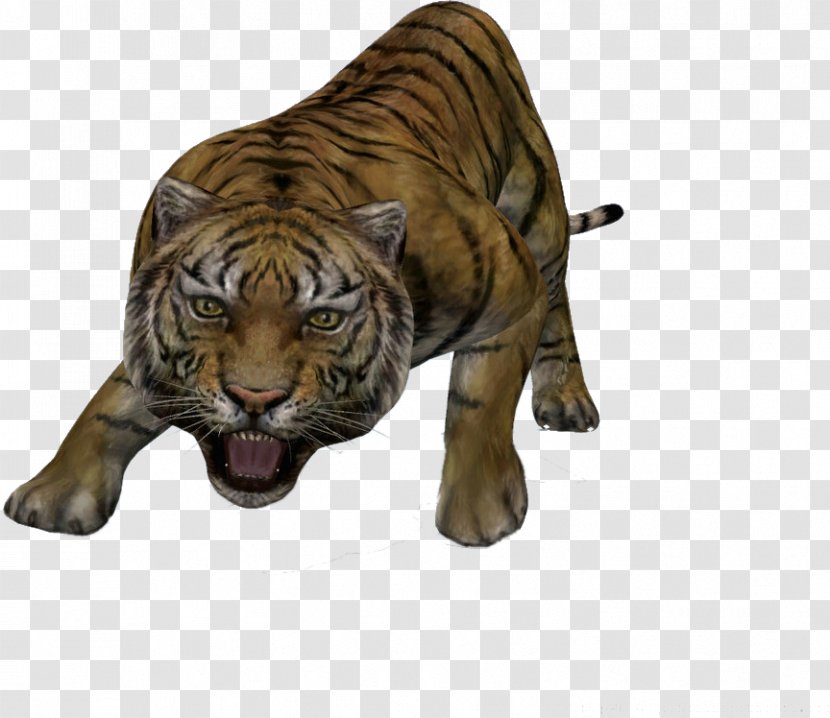Tiger 3D Computer Graphics Modeling - Television - Mighty Transparent PNG