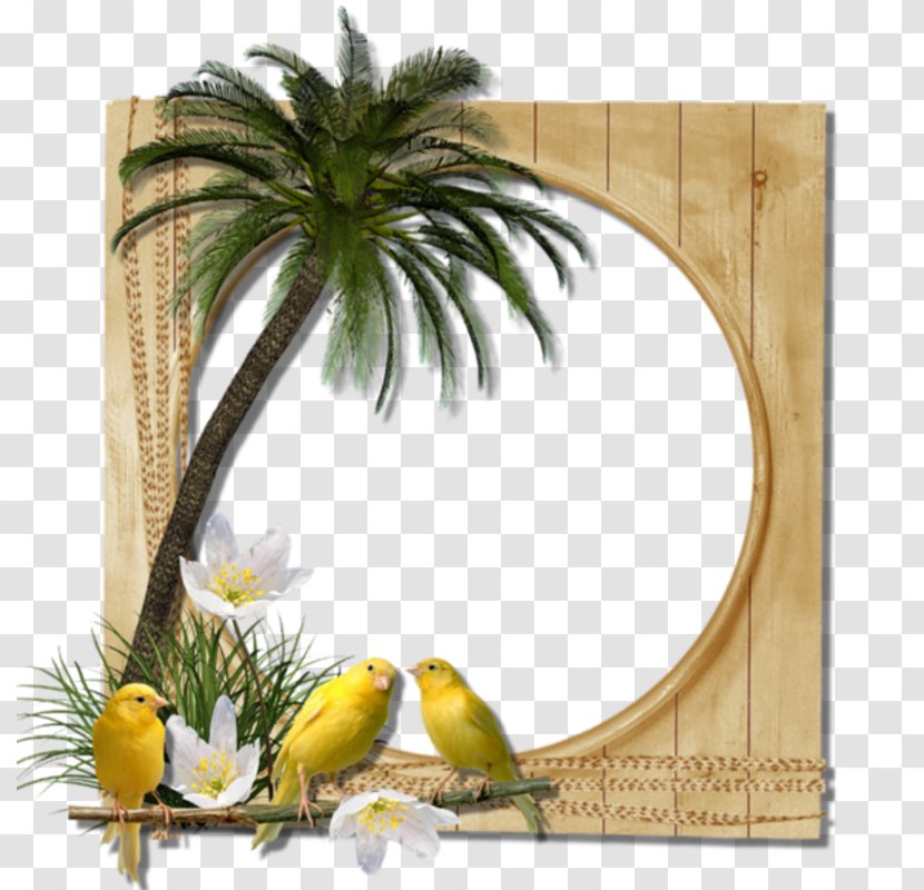 Picture Frames Photography Clip Art - Frame - Palm Border Transparent PNG