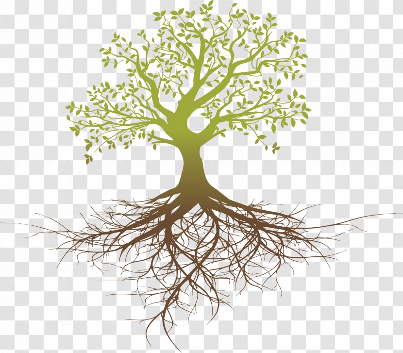 Root System Tree Oak - Tattoo - Thinking Transparent PNG