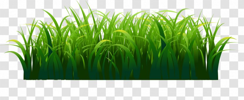Green Watercolor Painting - Hand Painted Grass Transparent PNG