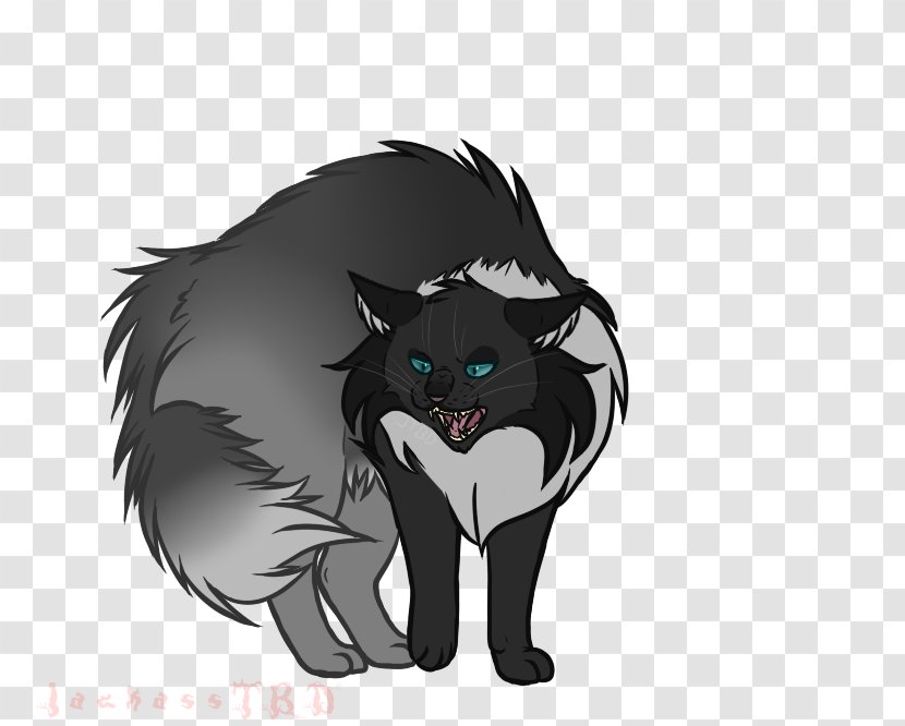 Whiskers Black Cat Canidae Big - Cool Dude Transparent PNG